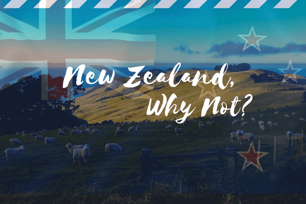 new-zealand-why-not