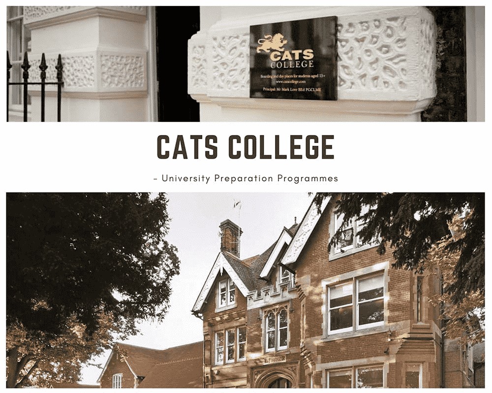 cats-college-preparing-you-for-university-success